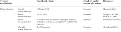 Potential epigenetic molecular regulatory networks in ocular neovascularization